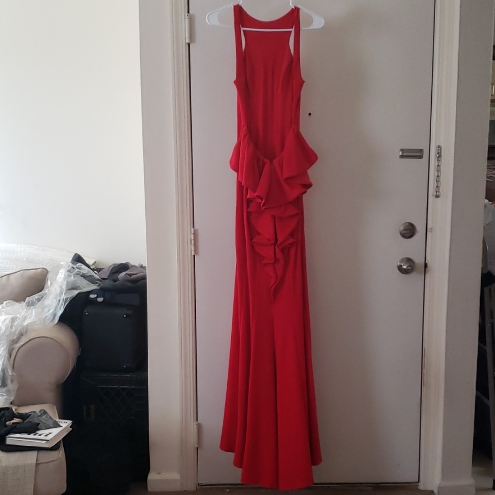 Dress - Picture 4 of 4